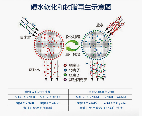 硬脂軟化和樹脂再生示意圖